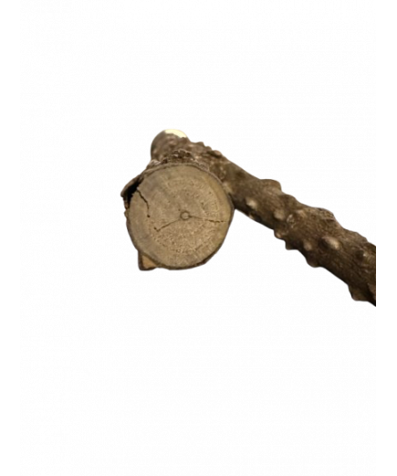 Parrot-Supplies Forked Pepper Wood Natural Parrot Perch Parrot-Supplies Forked Pepper Wood Natural Parrot Perch